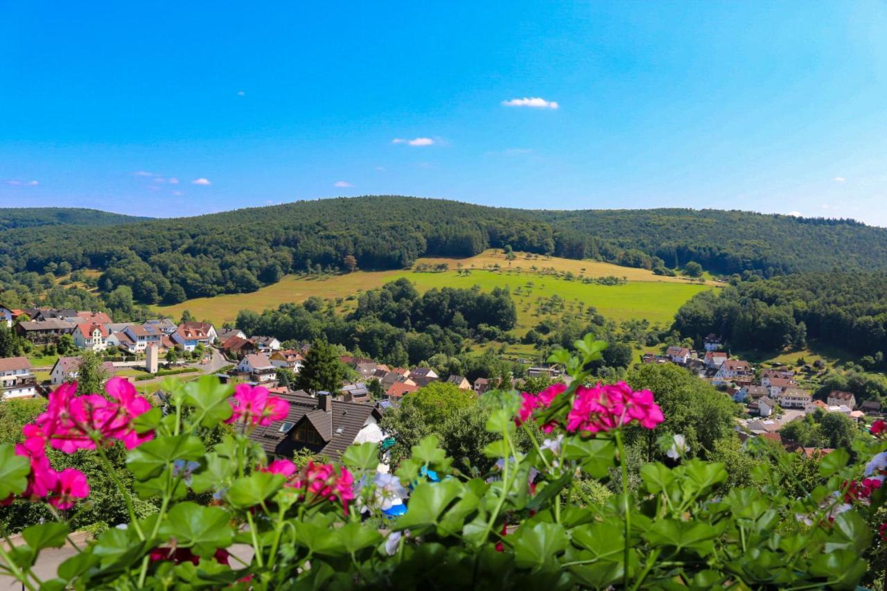 Panorama Hotel Heimbuchenthal Bagian luar foto