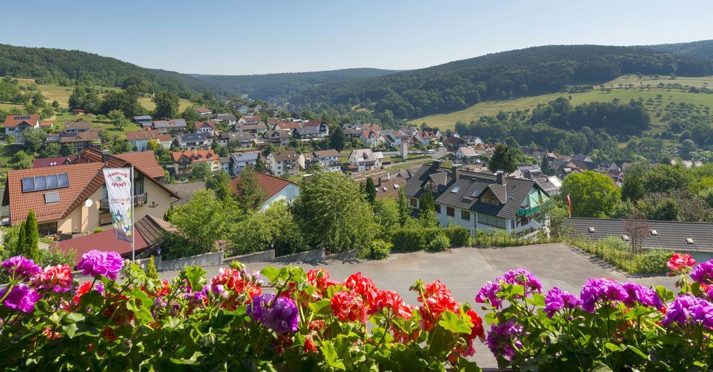 Panorama Hotel Heimbuchenthal Bagian luar foto